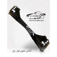 اكصدام امامي علوي جيلي كول راي