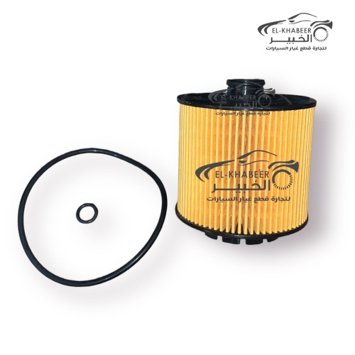 فلتر زيت جيلي اوكافانجو 