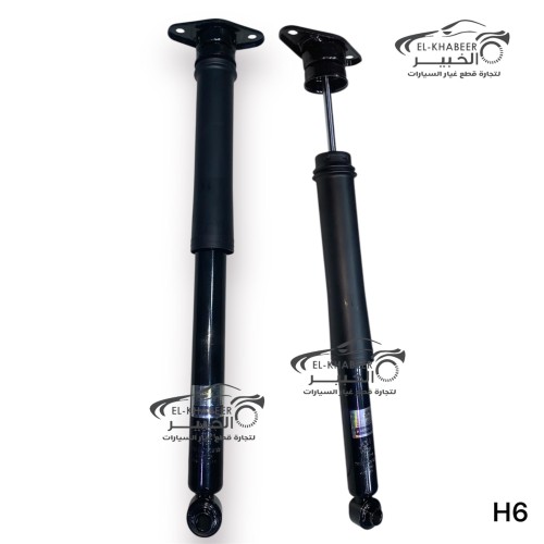 طقم مساعدين خلفي بالبطاحة هافال GOLD-H6